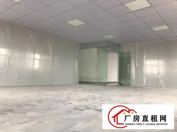  竹园带装修电子行业240平米