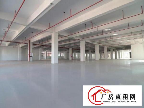  寮步11元，全新厂房出租