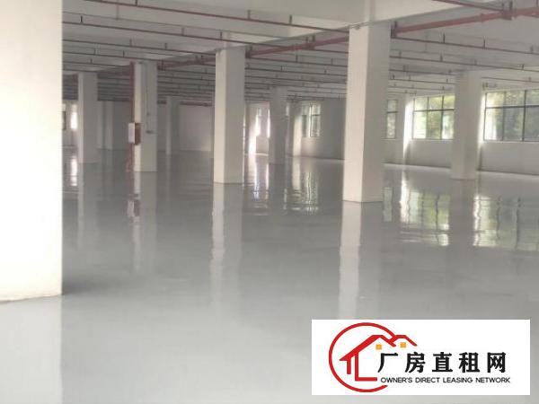  寮步11元，全新厂房出租
