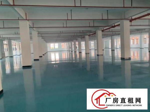  寮步11元，全新厂房出租