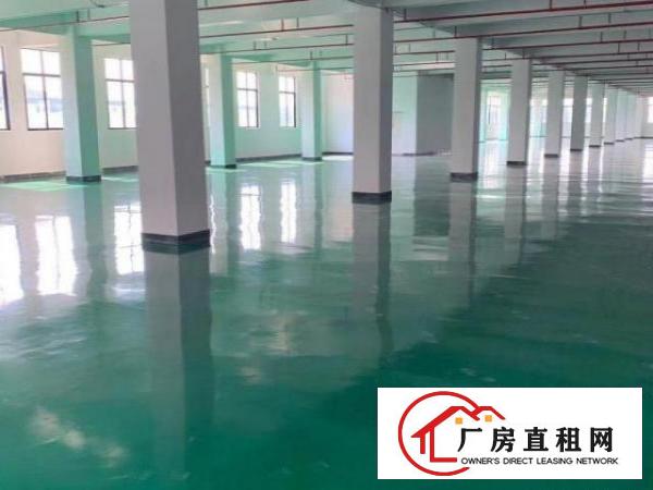  寮步11元，全新厂房出租