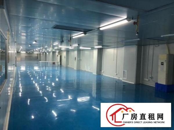  精装修十万级无尘车间，1600㎡。