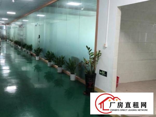  精装修十万级无尘车间，1600㎡。