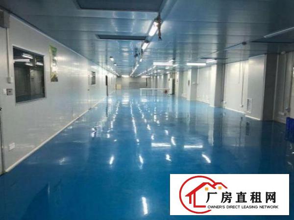 东莞寮步十万级无尘车间
