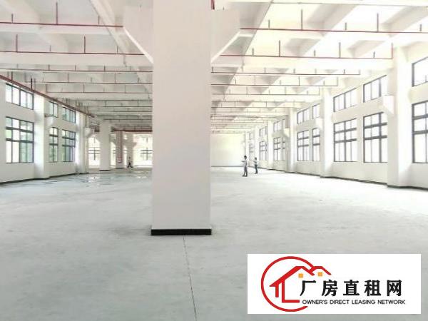  寮步全新自带环评标准厂房出租