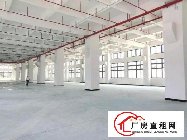  寮步全新自带环评标准厂房出租