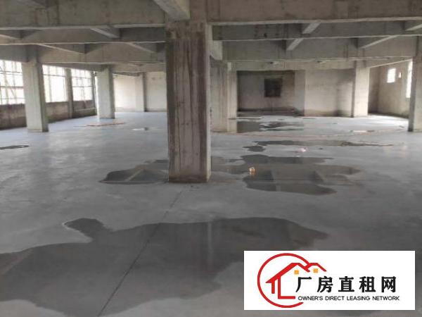  房东直租，自建房6层，可整租，也可分层