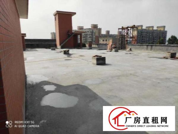  房东直租，自建房6层，可整租，也可分层