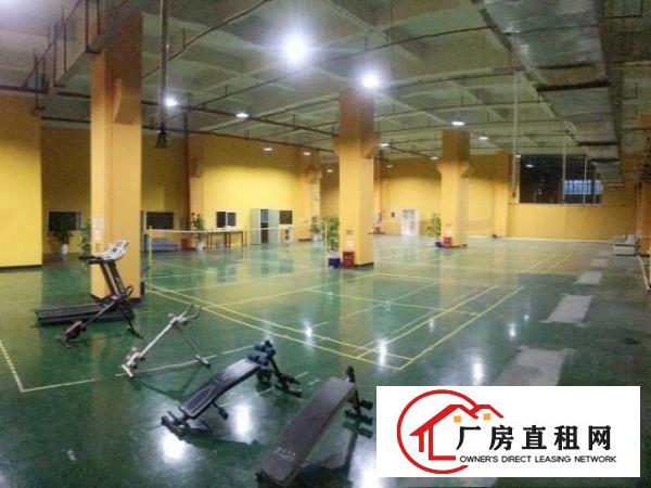  寮步华南城超靓标准独院出租