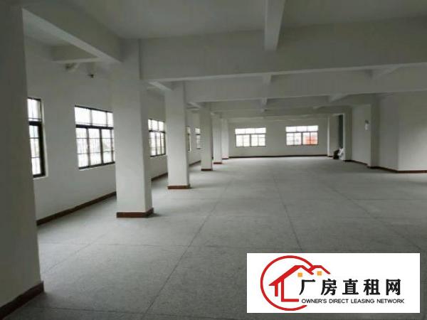  350平方电梯新厂房房东直租