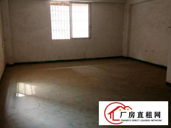  可做厂房，仓库，三相电，水电备齐，二楼厂房，蓝色地坪漆地板。