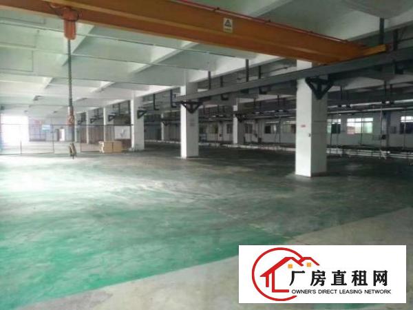  寮步可接蒸汽管道标准独院出租