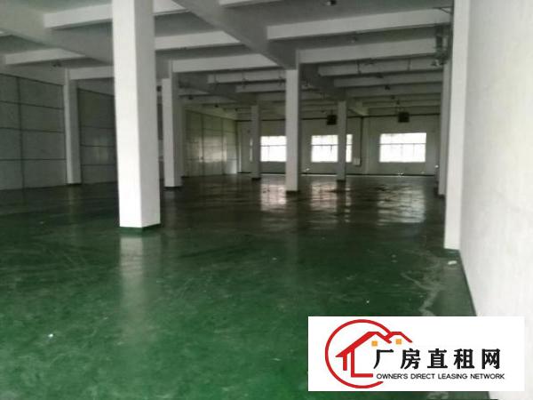  寮步镇新出独院厂房出租，每层3300平方大小可分