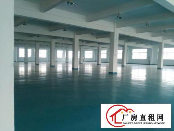  寮步镇新出独院厂房出租，每层3300平方大小可分