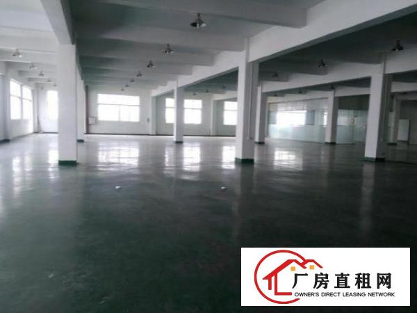  寮步镇新出独院厂房出租，每层3300平方大小可分