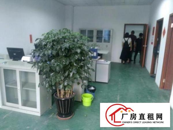  寮步镇新出独院厂房每层3000平方可分租
