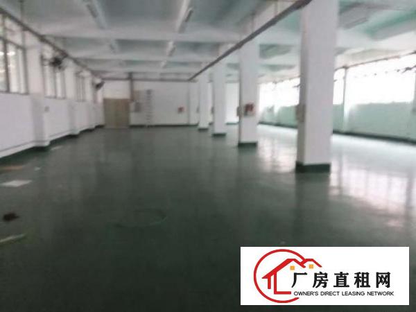  寮步镇新出独院厂房每层3000平方可分租