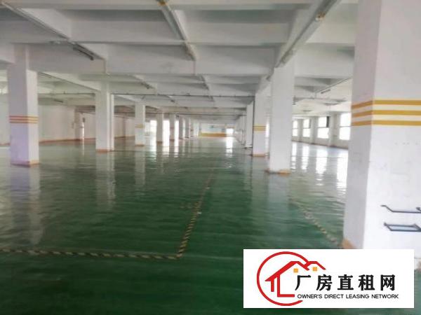  寮步镇新出独院厂房每层3000平方可分租
