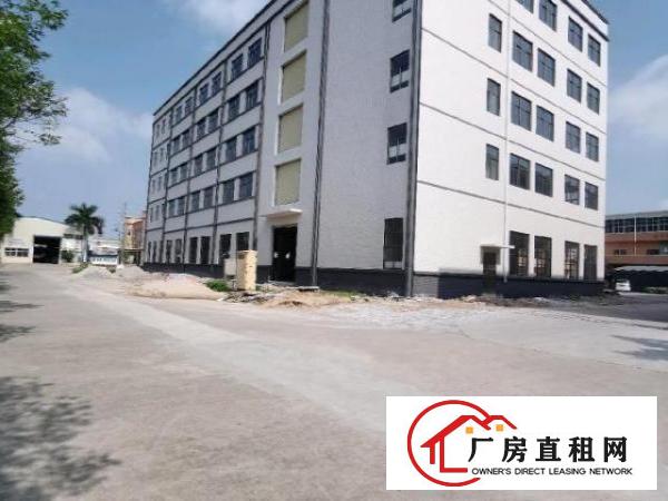  自建全新工业厂房出租