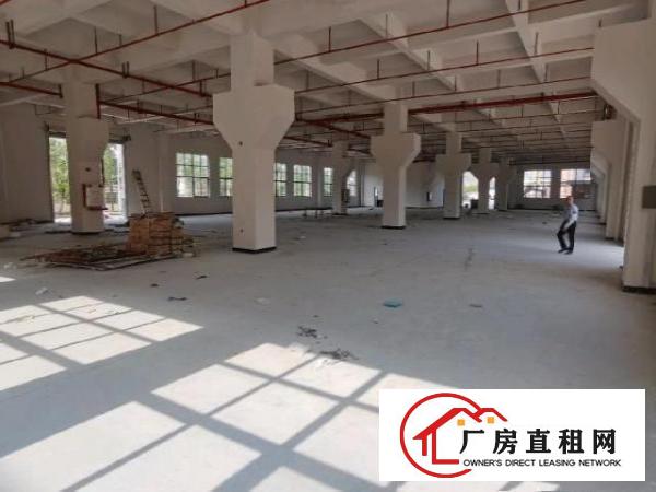  自建全新工业厂房出租