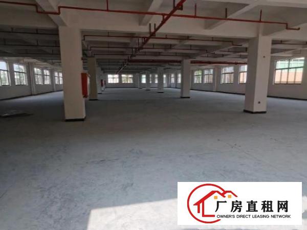  自建全新工业厂房出租