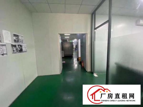  寮步石大路独立厂房仓库一楼现成装修厂房300平方招租
