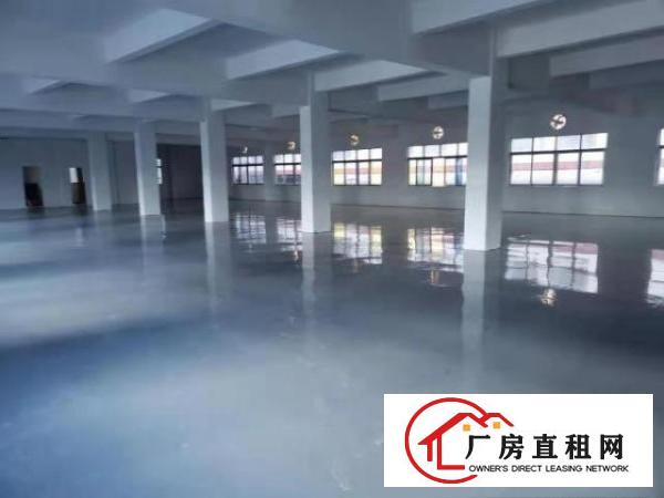  东莞寮步西溪大进工业园独院现成装修厂房仓库800平方出租