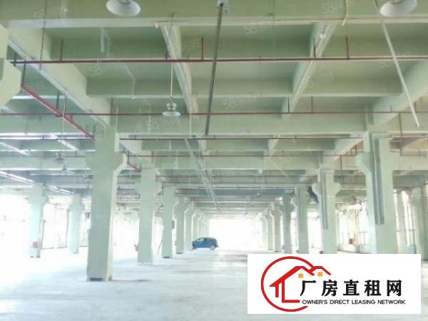  寮步华南工业城国有双证红本形象高大上原房东标准独院厂房出租
