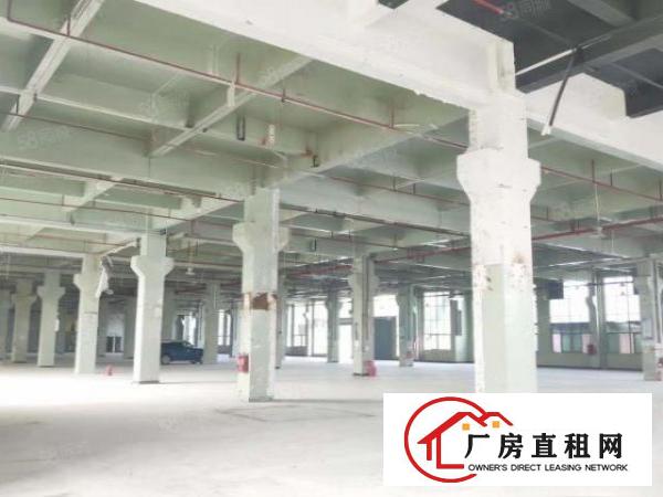  寮步华南工业城国有双证红本形象高大上原房东标准独院厂房出租