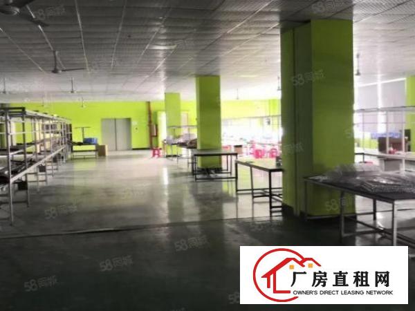 寮步镇原房东独门独院厂房国有双证齐全出租