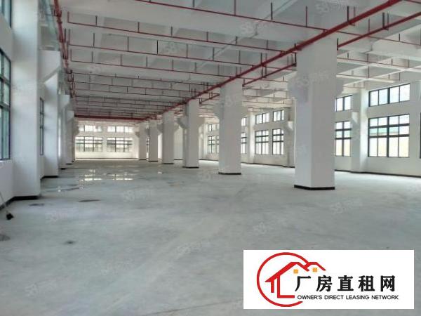  寮步原房东一楼3000平方红本厂房出租重型工业可办环评可分租