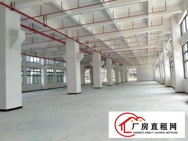  寮步原房东一楼3000平方红本厂房出租重型工业可办环评可分租