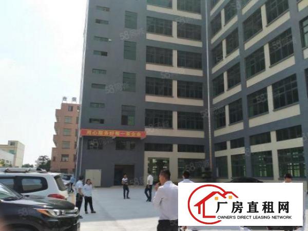  寮步原房东一楼3000平方红本厂房出租重型工业可办环评可分租