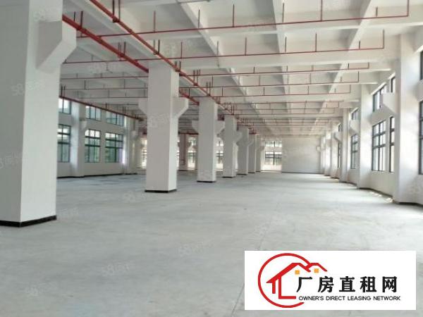  寮步原房东一楼3000平方红本厂房出租重型工业可办环评可分租