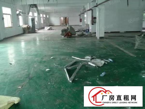  寮步石步独院厂房出租2000平方，原房东