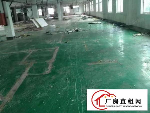  寮步石步独院厂房出租2000平方，原房东