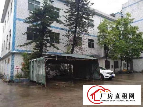  寮步石步独院厂房出租2000平方，原房东