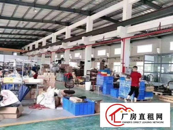  原房东独院砖墙到顶单一层