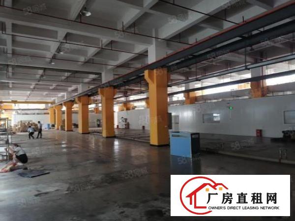  新出寮步原房东目前亮独门独院，可办环评，现成装修