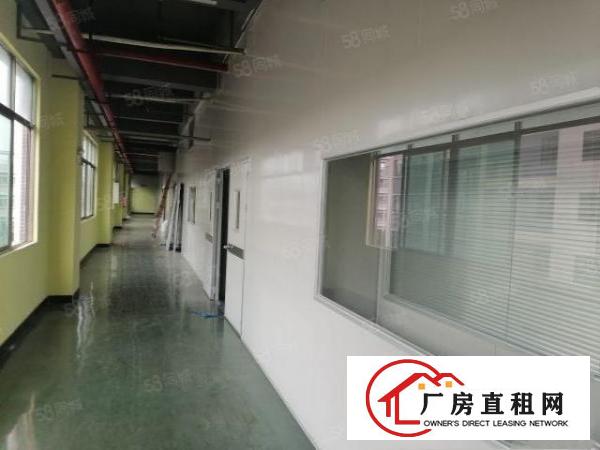 新出寮步原房东目前亮独门独院，可办环评，现成装修
