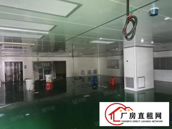  新出寮步原房东目前亮独门独院，可办环评，现成装修