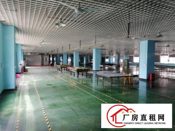  新出寮步原房东目前亮独门独院，可办环评，现成装修