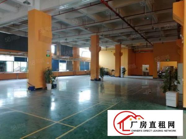  新出寮步原房东目前亮独门独院，可办环评，现成装修