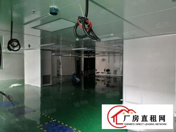  新出寮步原房东目前亮独门独院，可办环评，现成装修