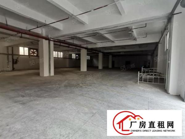  寮步下岭贝工业区新出一楼799平，带装修，带环评，水电齐全