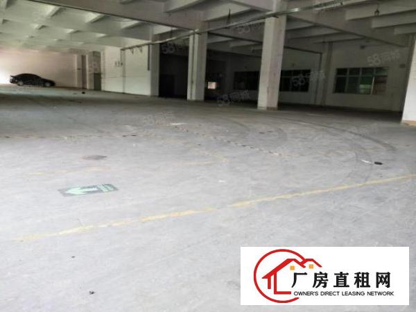  寮步下岭贝工业区新出一楼799平，带装修，带环评，水电齐全