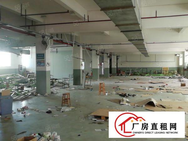  寮步石龙坑新出原房东独院厂房9490平低价出租