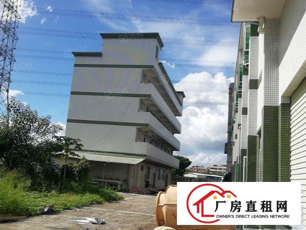  寮步石龙坑新出原房东独院厂房9490平低价出租