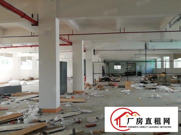  寮步石龙坑新出原房东独院厂房9490平低价出租