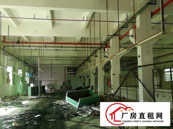  寮步石龙坑新出原房东独院厂房9490平低价出租